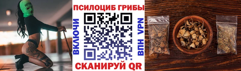 Галлюциногенные грибы ЛСД  Лодейное Поле 